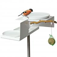 vogeltränke vt-1 im modernen design mit zwei schalen und mesienknödel